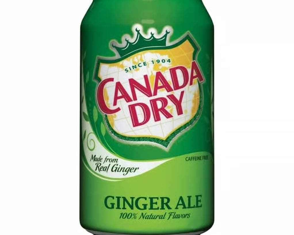 Ginger Ale Soda (12oz) — Taibat Noodle House Santa Ana